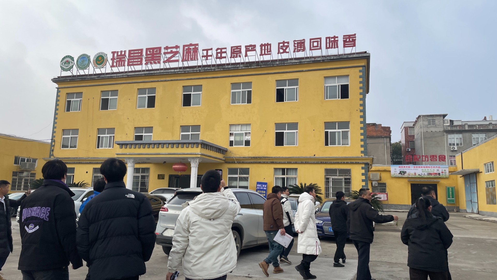 私域电商考察团走进瑞昌黑芝麻科技小院，探寻一粒芝麻的数字化之旅