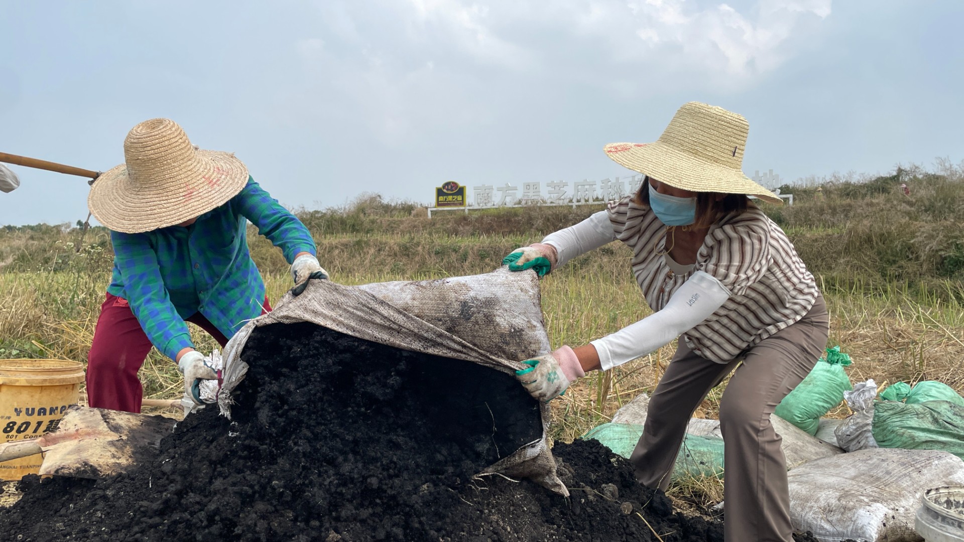 精耕细作养沃土|瑞昌黑芝麻科技小院六月撒施发酵菜籽饼,全力备战夏播