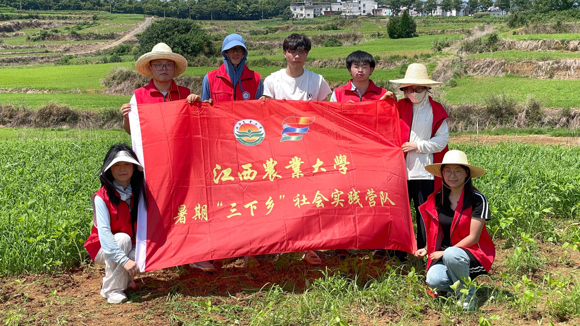 芝赴瑞昌·青春躬行|江农学子三下乡,以科技点亮黑芝麻振兴之路